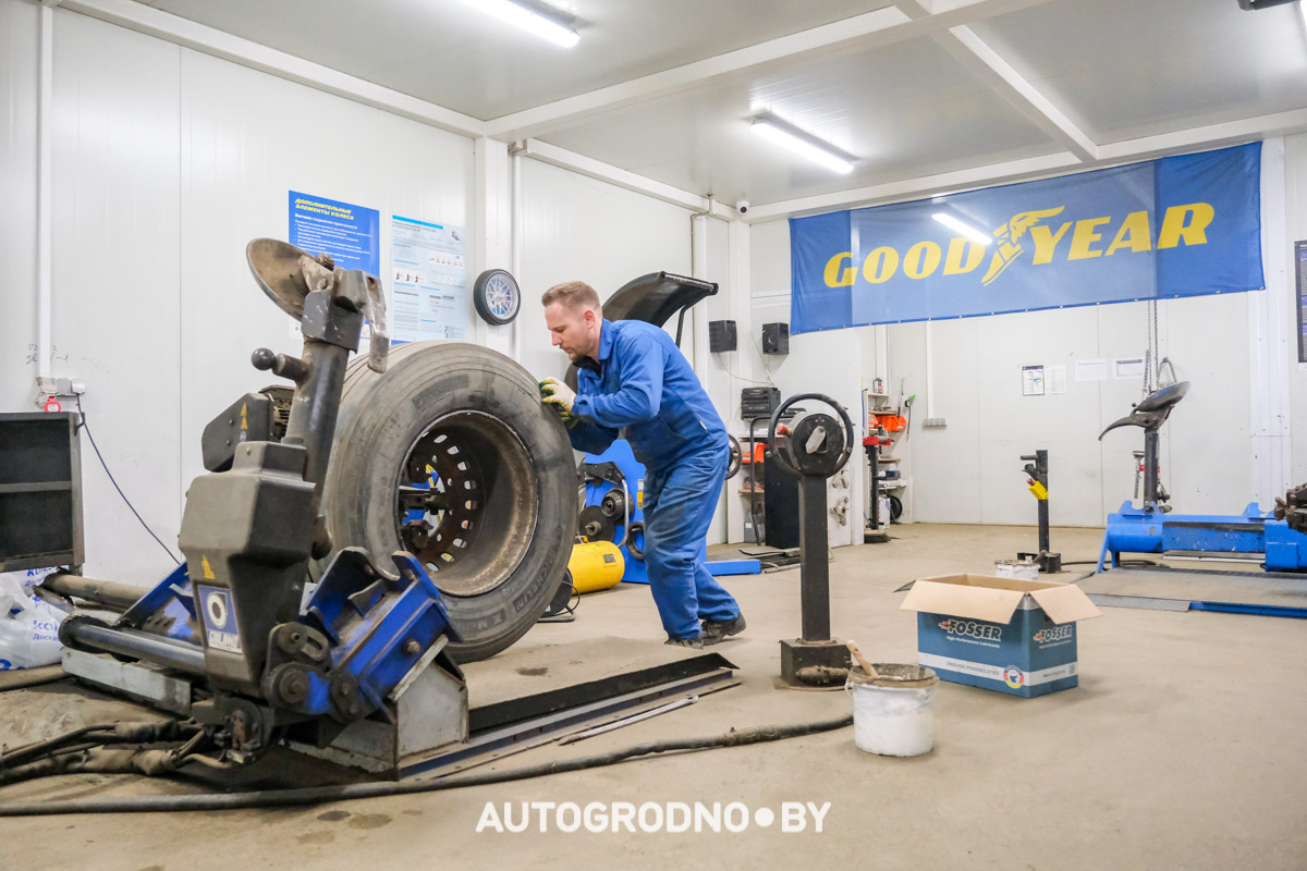 Какие шины купить в сезоне 2025