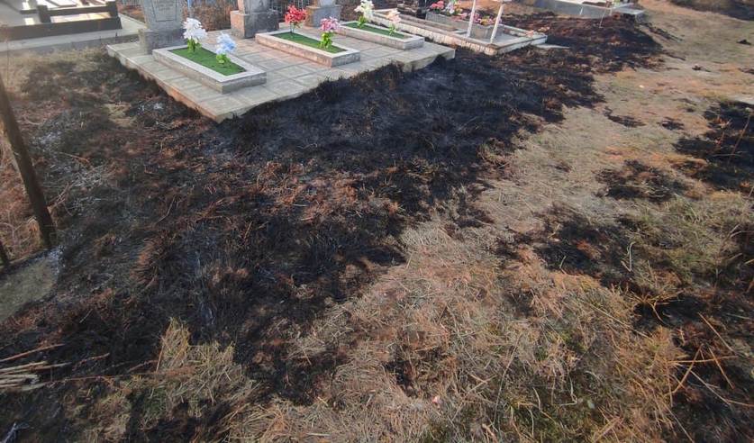 pal travy novogrudok kladb 01