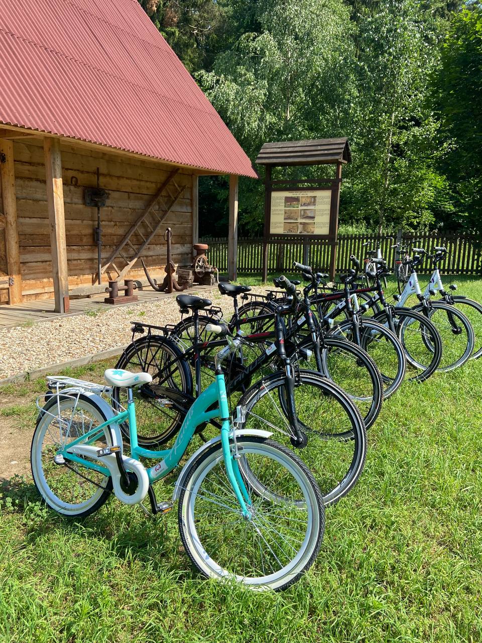 avgust kanal fishki 2025 01