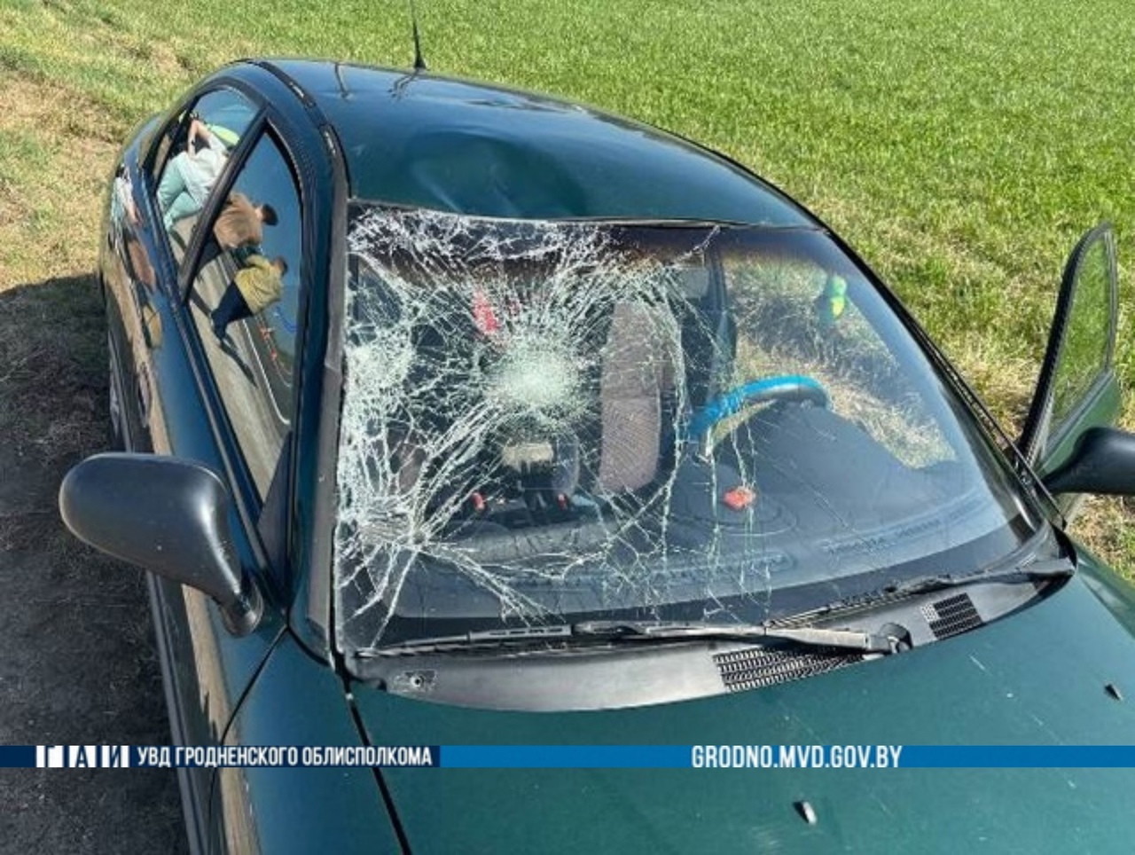 berestovitsa velo 20 04 01