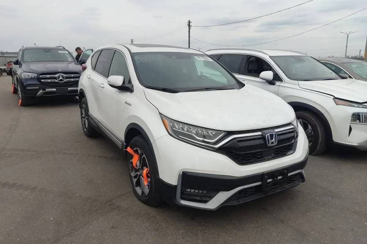 klajpeda konets istorii 01