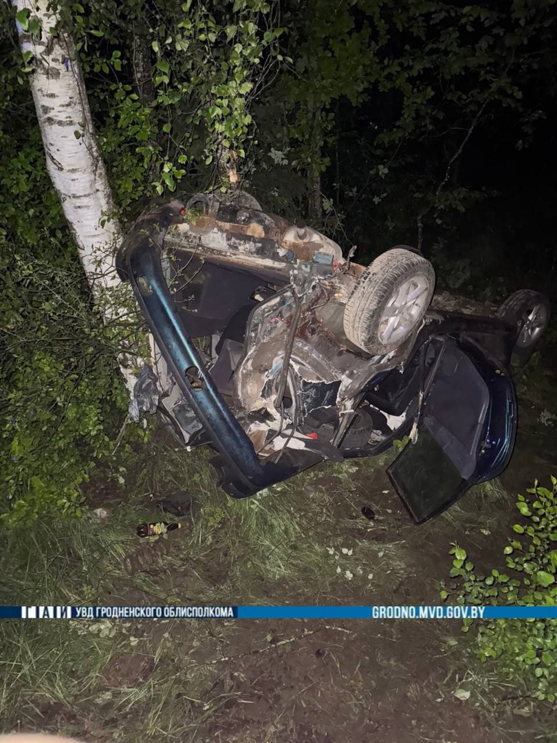 ivje vorona 2 dtp 01