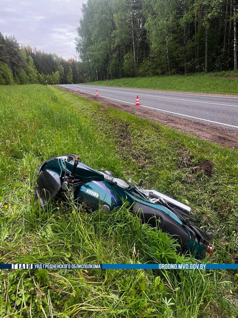 ivje vorona 2 dtp 01