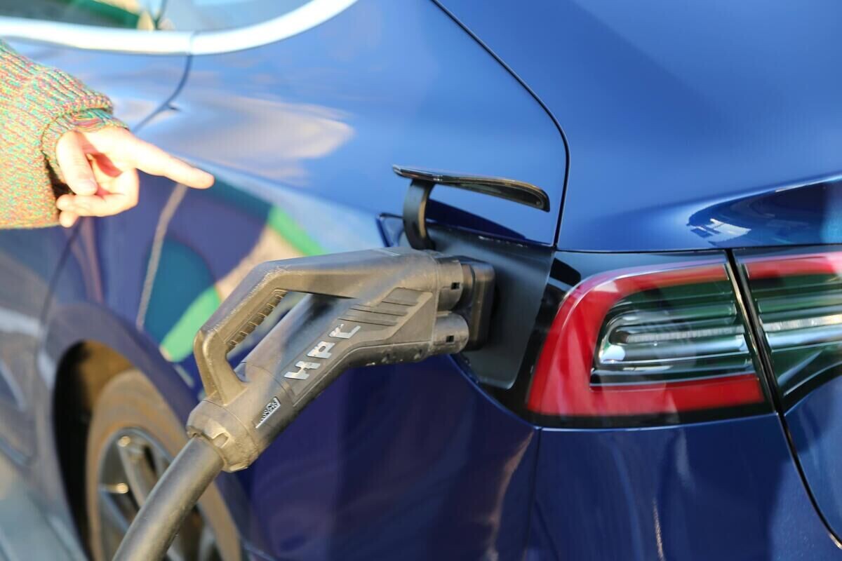 rastamozhka otmena belgee 02