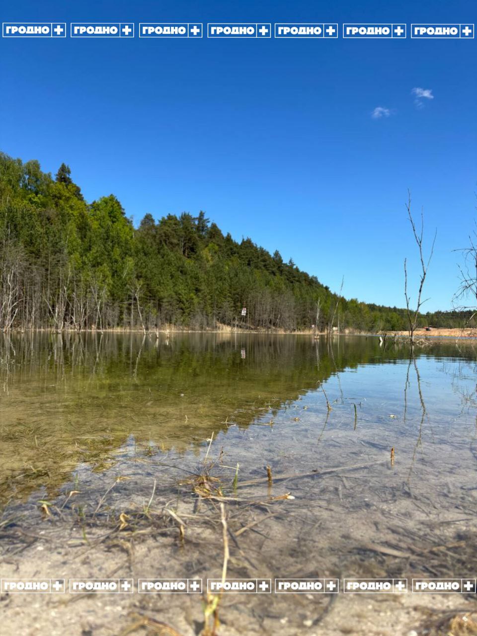 zeljonka itog 06 05 01