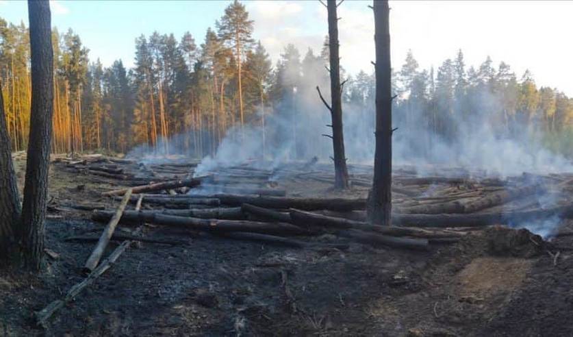 les slonim sigareta 01