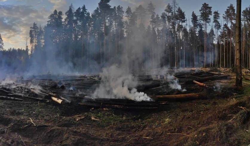 les slonim sigareta 01