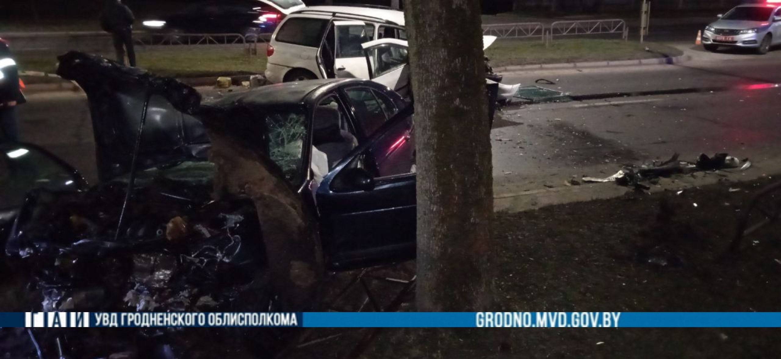 gai lob vesenjaa 01 01 2025 01