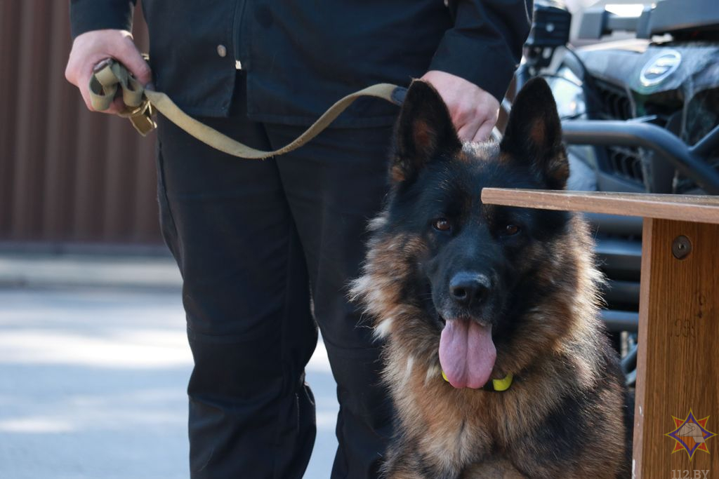 press vstrecha mchs 22 07 25 03