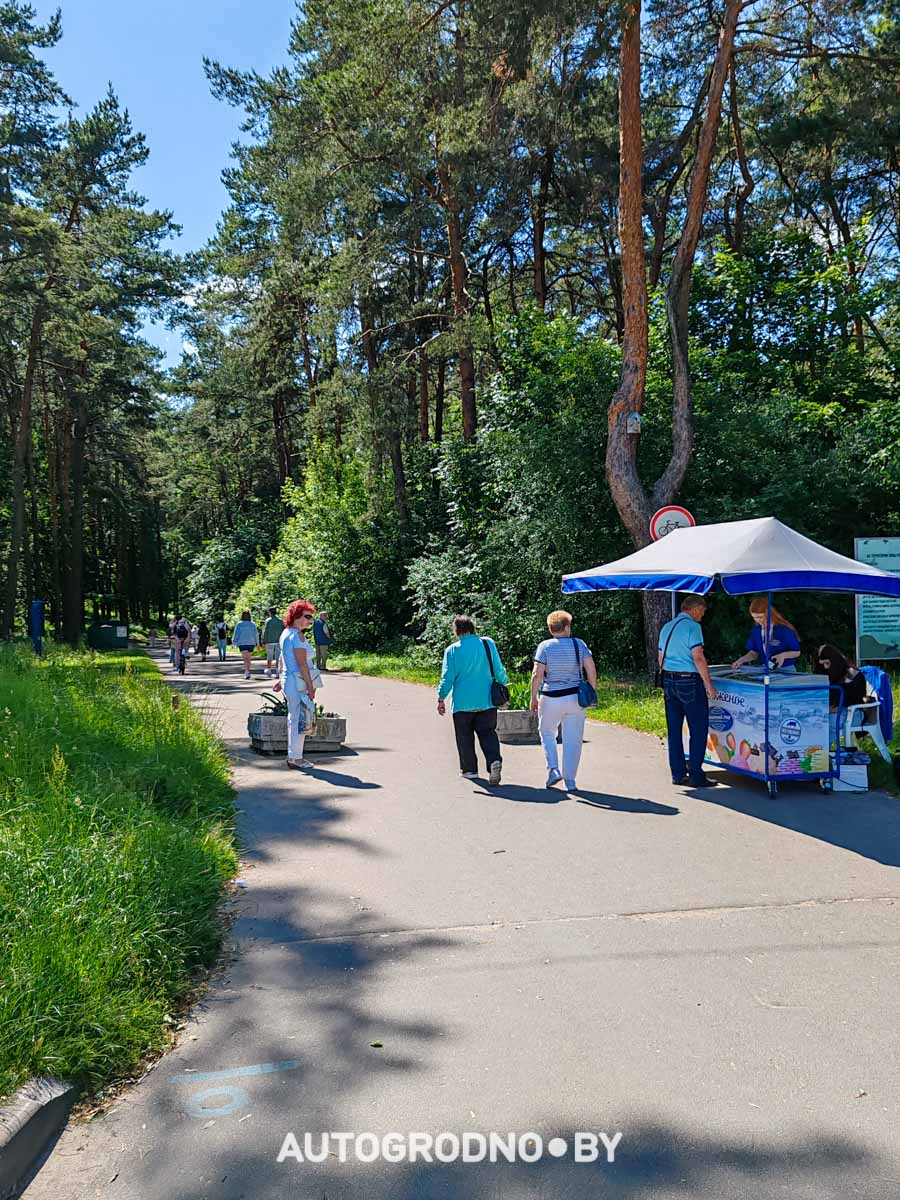 прокат самокатов и велосипедов в Гродно - цены