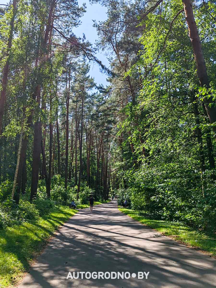 прокат самокатов и велосипедов в Гродно - цены