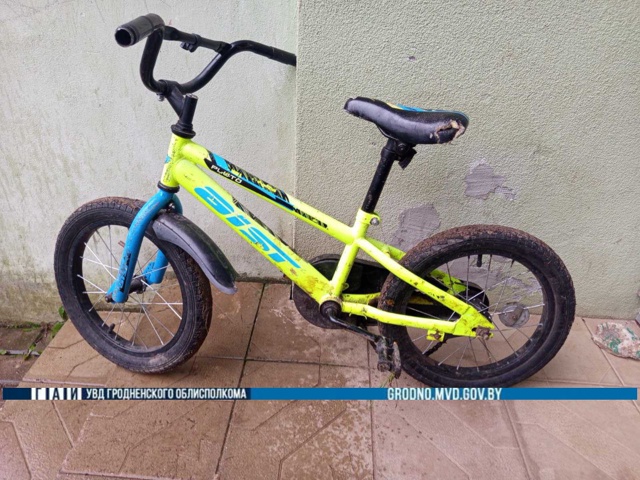 golshany velo rebjonok 20 08 01