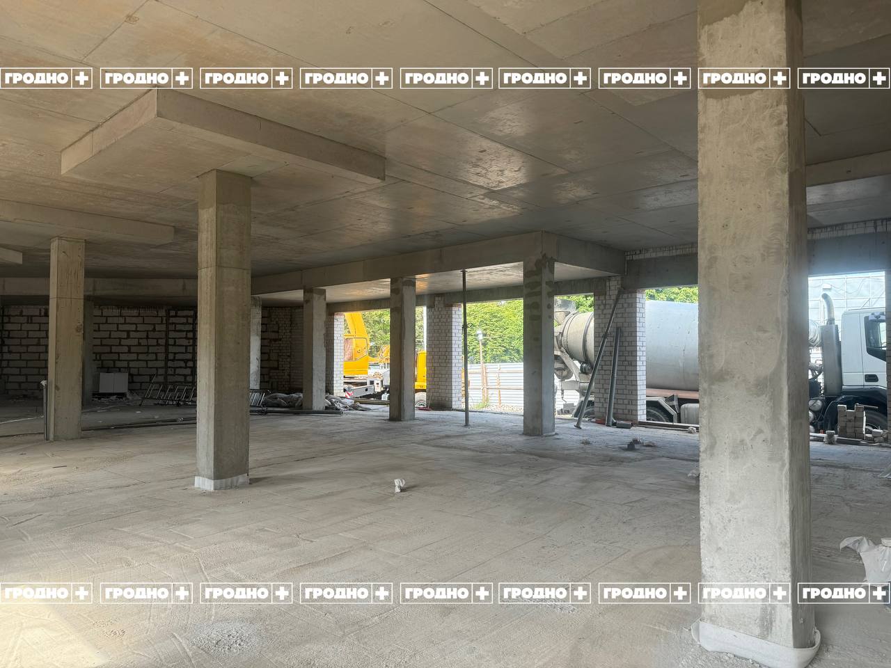 obshchepit fialka 02