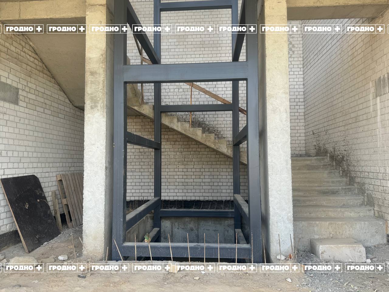 obshchepit fialka 02