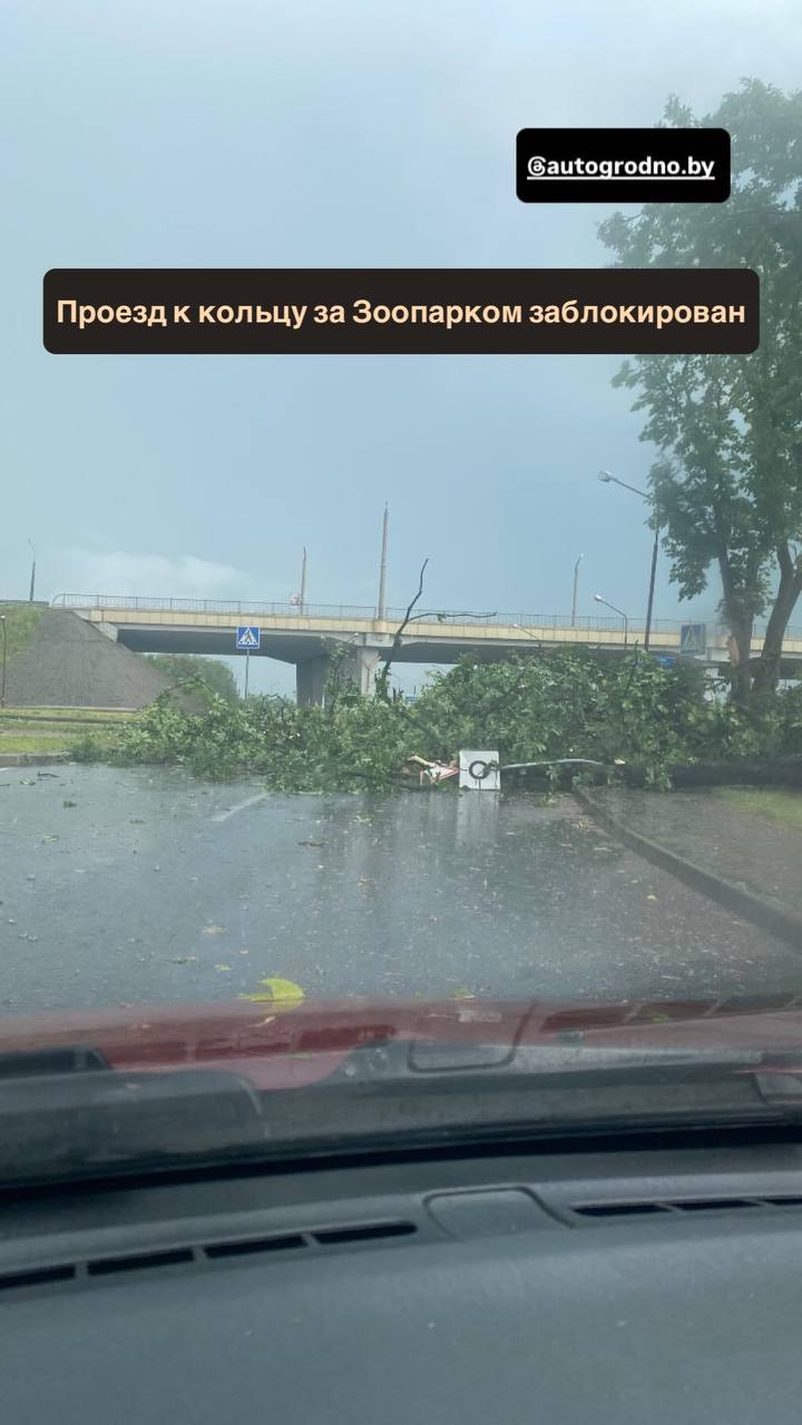 oranzh uroven op 10 08 02