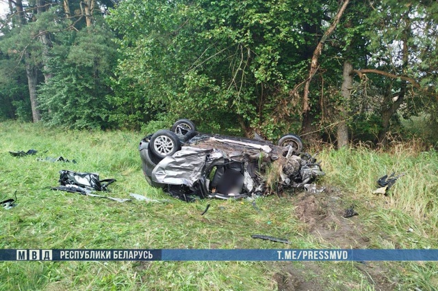 slonim lobovoe 10 08 01