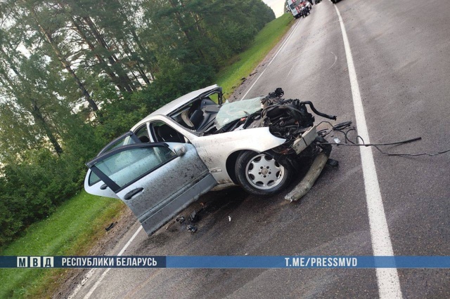 slonim lobovoe 10 08 01