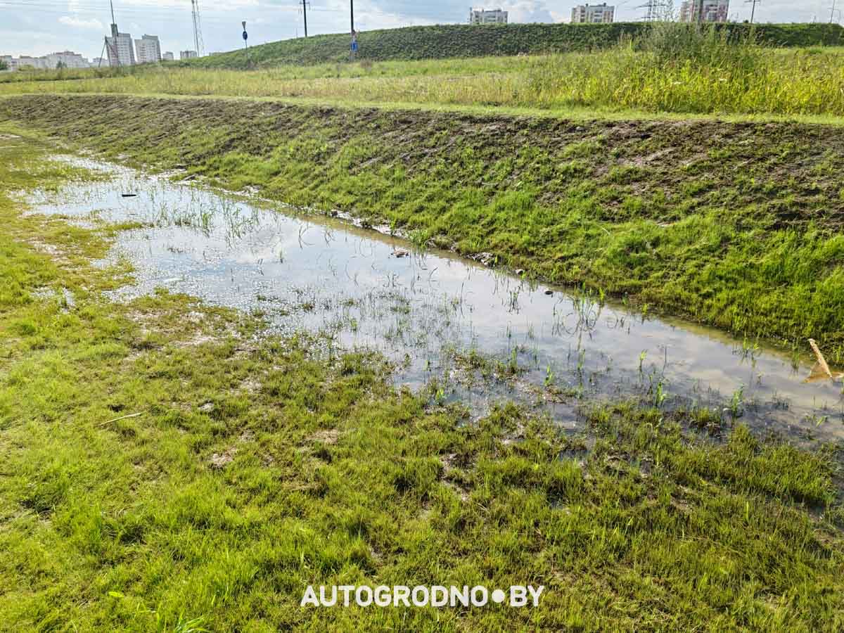 Магазин Копеечка в Гродно