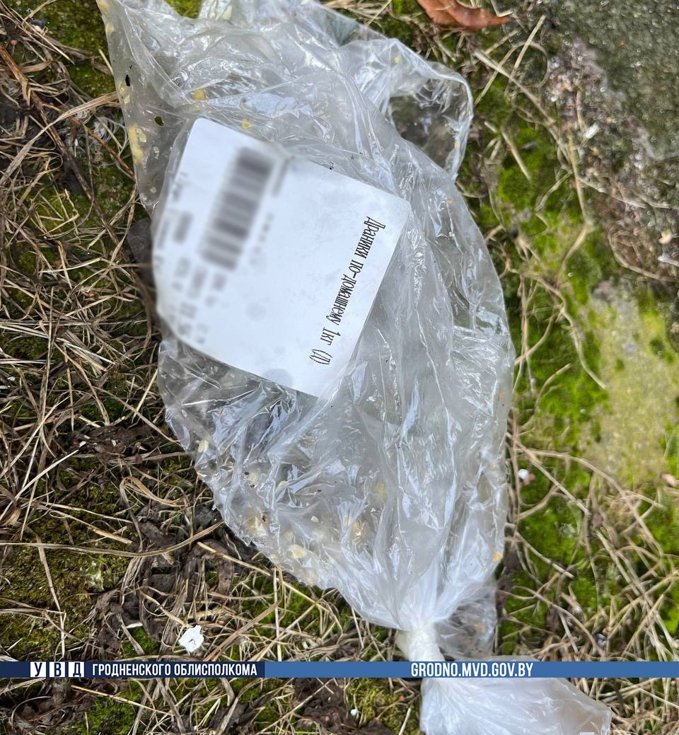 musor zapah 9 etazh 01