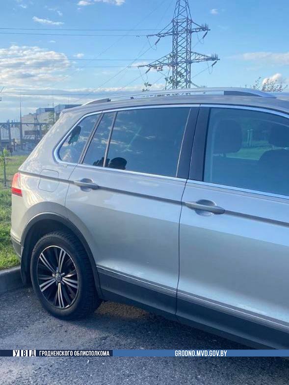 pepelnitsa steklo vw 01