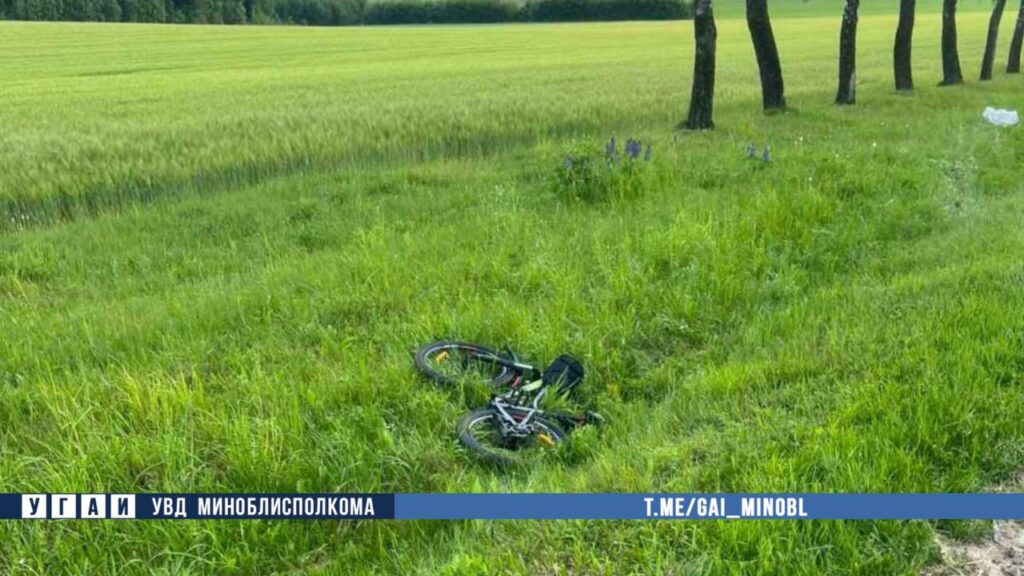 kopyl velo renault 01 06 25 01