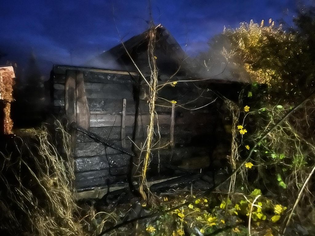 pozhary mchs 18 19 10 01