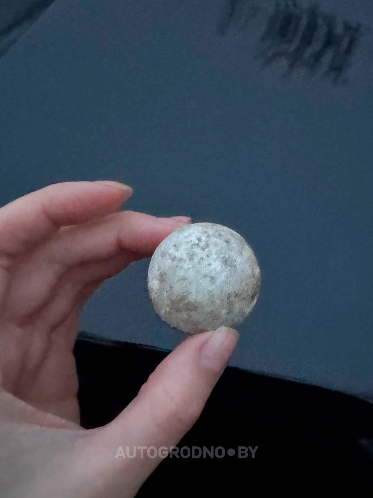 В центре Гродно ворона разбило ветровое стекло в легковушке