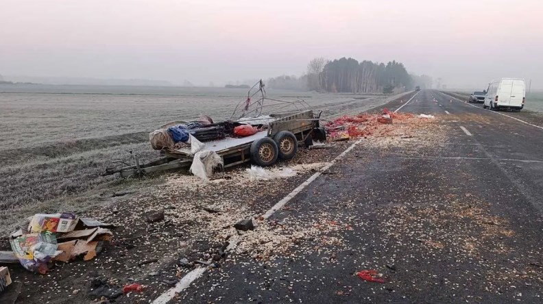 pinsk ford 2 passazhira 02