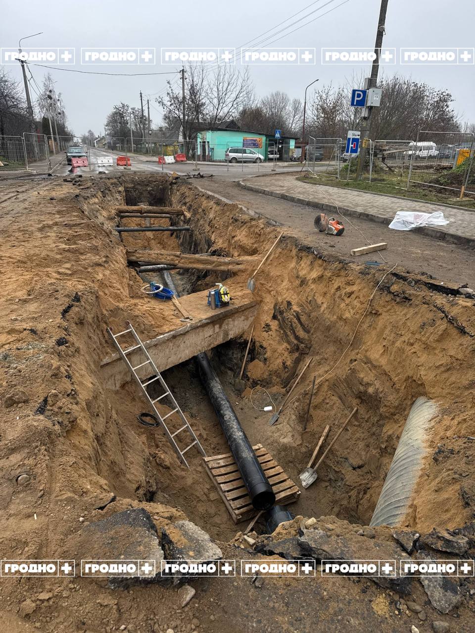 kohanovskogo 09 12 25 01