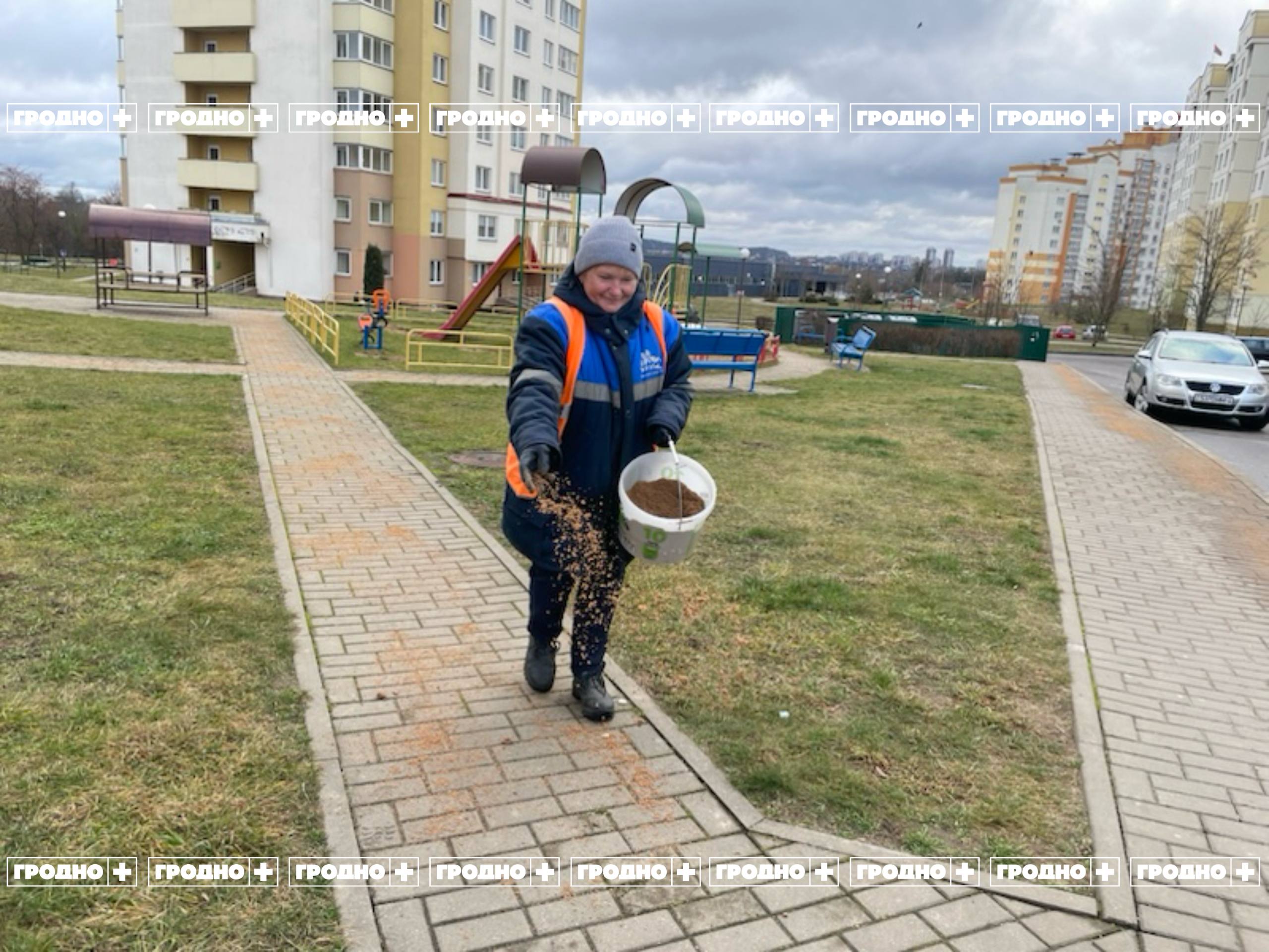 obrabotka grodno prevent 23 12 01