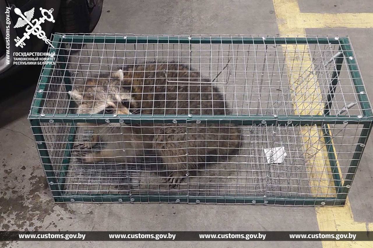 enot kontejner 14 01 26 01