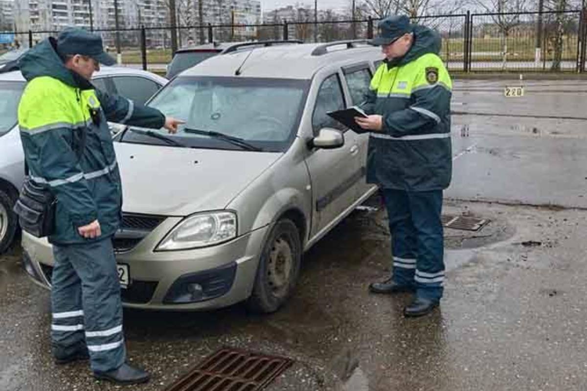 trans insp itogi 2025 01