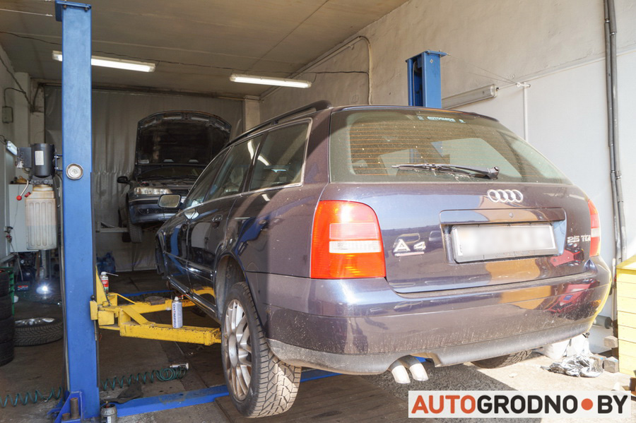 DMS Master Grodno 02