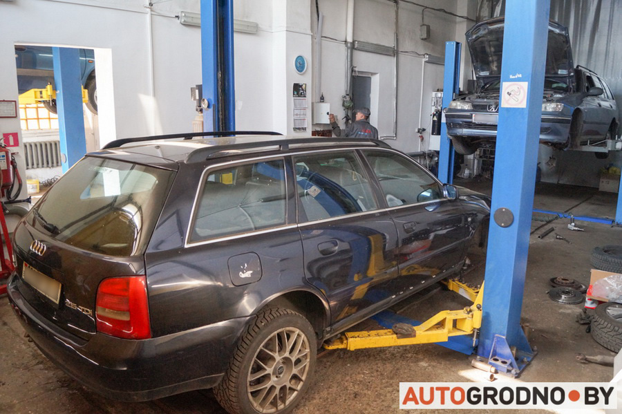 DMS Master Grodno 03