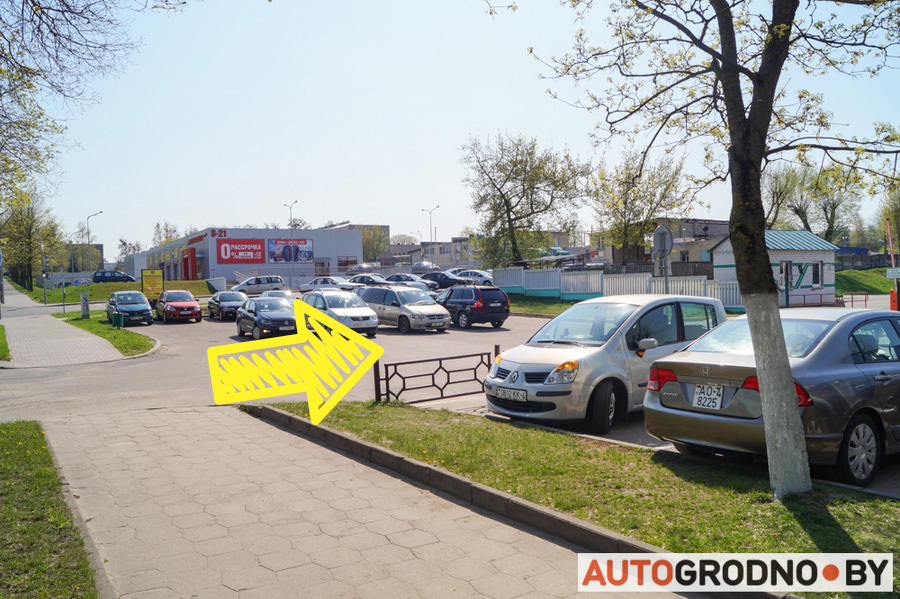 DMS Master Grodno 08