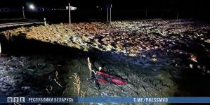 Под Ошмянами мотоциклист выехал со второстепенной под авто. Погиб он сам и его несовершеннолетний пассажир