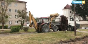 Сквер у ротонды в центре Гродно приведут в порядок. Что сделают?