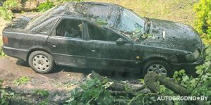 В Гродно прошла гроза. Последствия