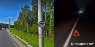 "Кажется, знак 70 там не такой уж и бесполезный". Поздно вечером гродненка чудом заметила на дороге сбитое животное