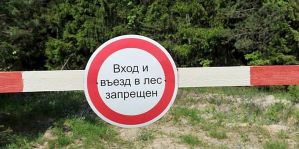 Почти по всей Гродненской области посещение лесов строго запрещено