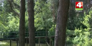 В Скиделе, на берегу Котры, появилась своя тропа здоровья