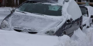 Каким будет март в этом году, рассказали синоптики. Снег и метели ждать?