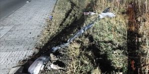 Белорус на фуре наскочил на островок безопасности и снес 2 уличных фонаря в немецкой деревне