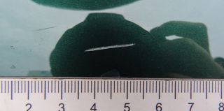 Владелец Mini Cooper утверждал, что ребенок на самокате поцарапал его авто, мать ребенка была не согласна. Что решил суд