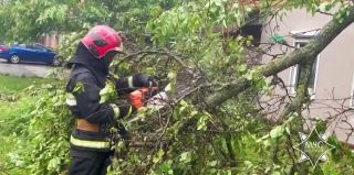 На завтра передают оранжевый уровень опасности. Что делать, если гроза и ветер застали вас на открытой местности?