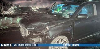 На трассе М6 насмерть сбили женщину