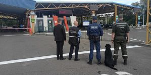 Налоговая взялась за заработки льготников на границе. Штрафы серьёзные