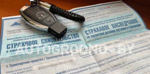 Штрафы за отсутствие страховки на авто в Беларуси. Как проверить ее срок действия онлайн и как купить через интернет