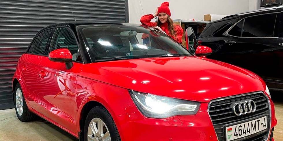 В Гродно бесплатно отремонтировали автомобиль девушки – тот самый, который погрызли собаки