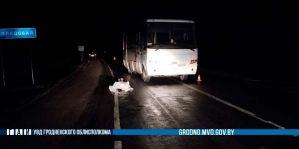 Трагедия в Мостовском районе: автобус сбил пешехода